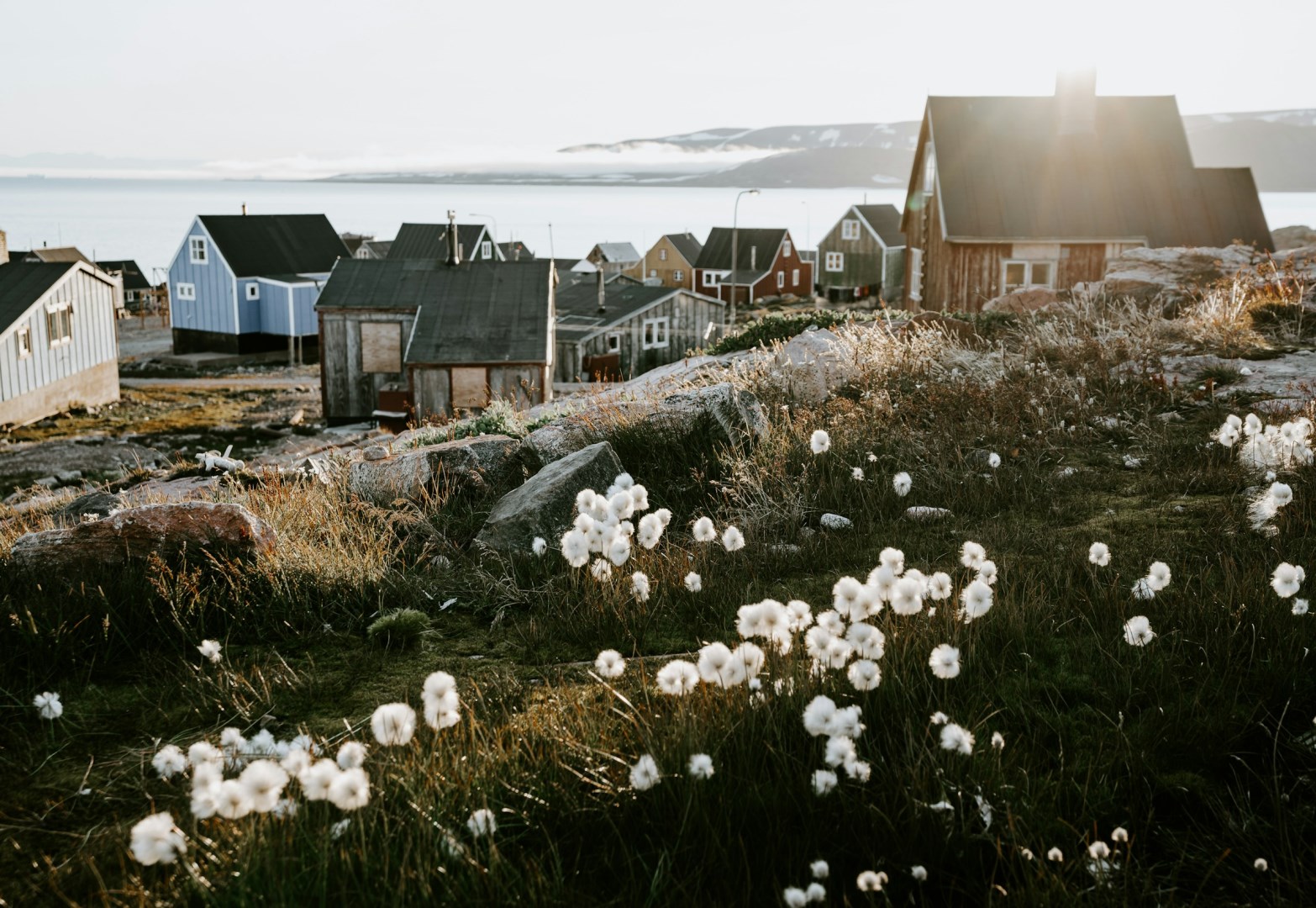  Photo Credit: Photo by Annie Spratt on Unsplash