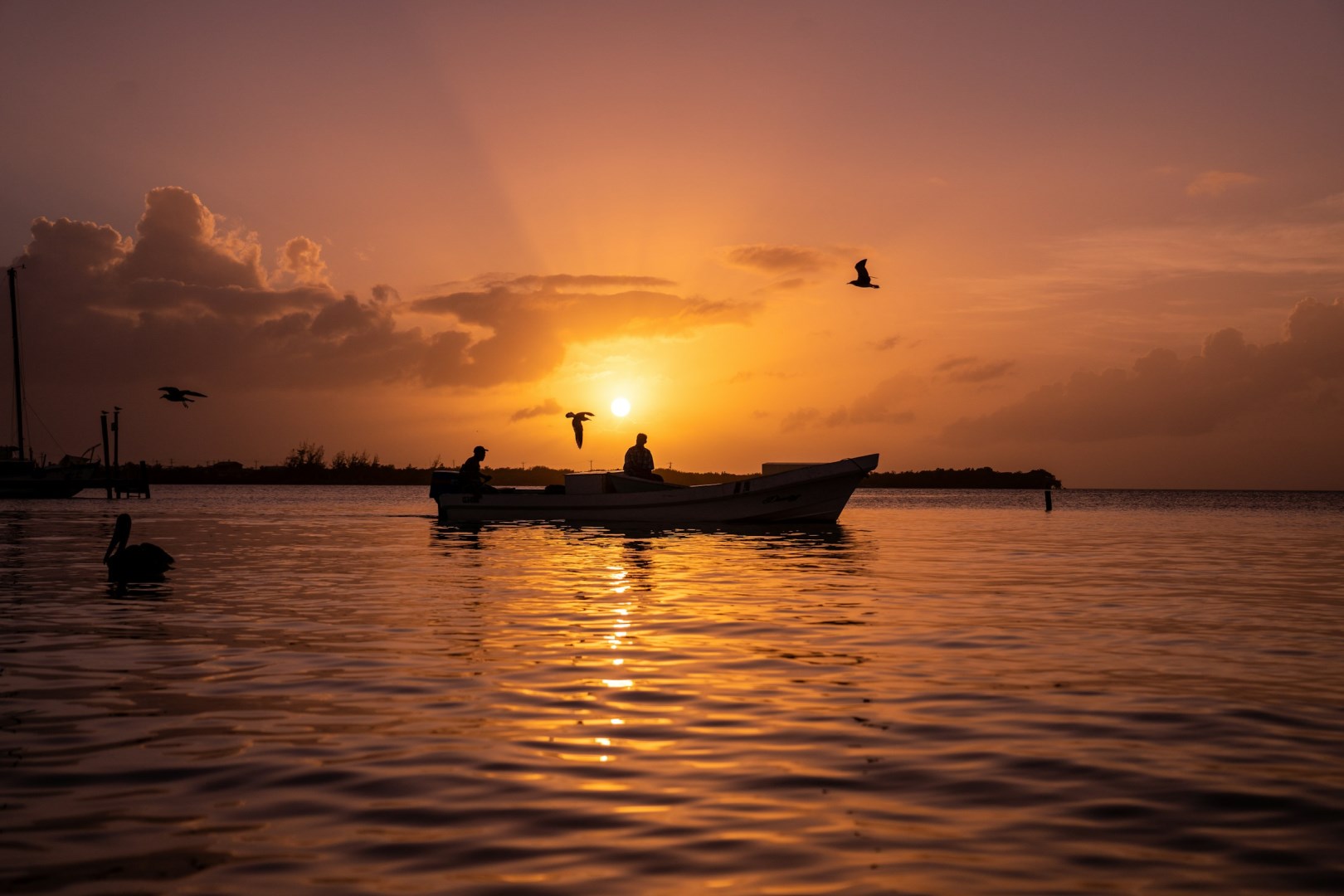  Photo Credit: Photo by Greg Ribaloff on Unsplash