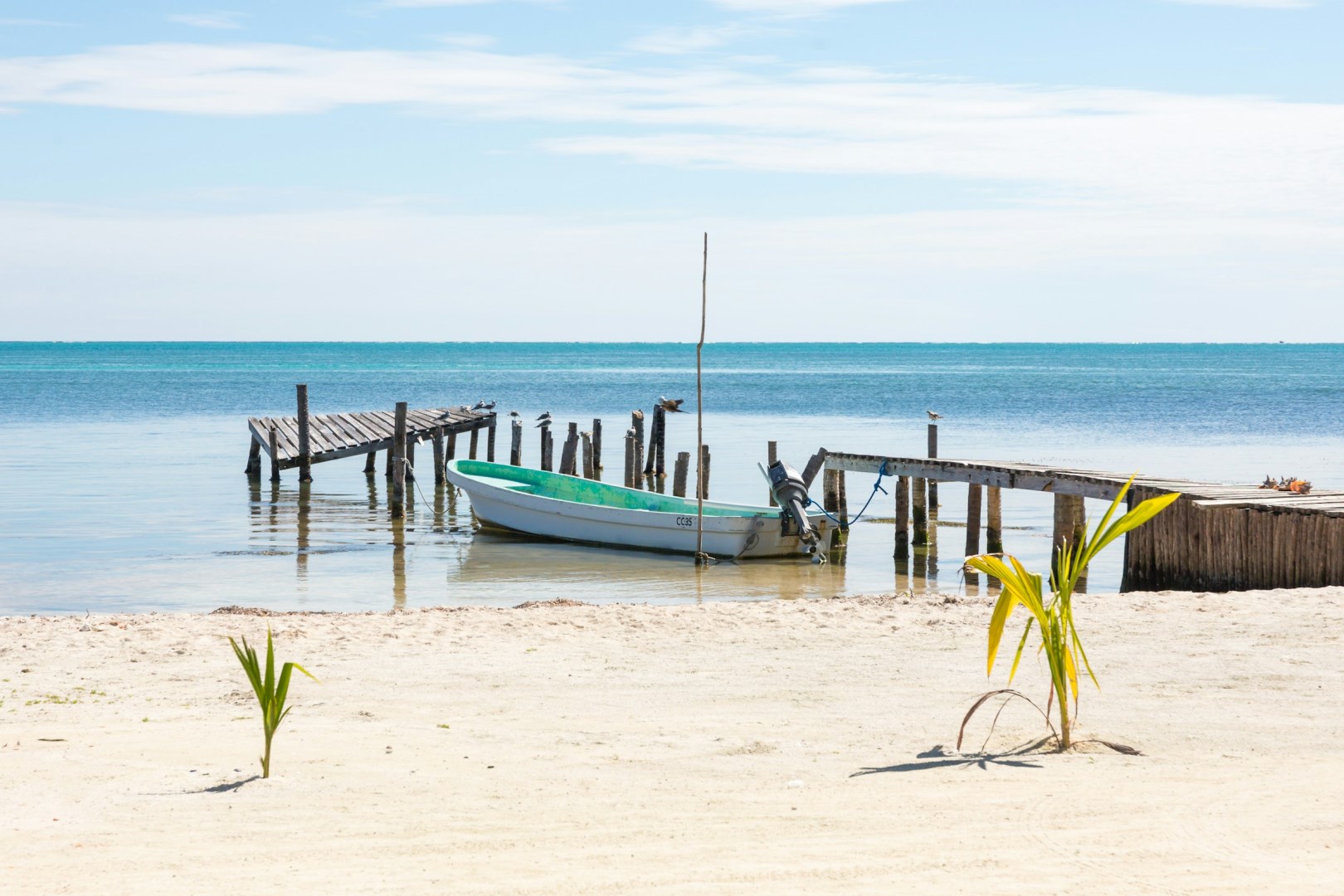  Photo Credit: Photo by Michiel Ton on Unsplash