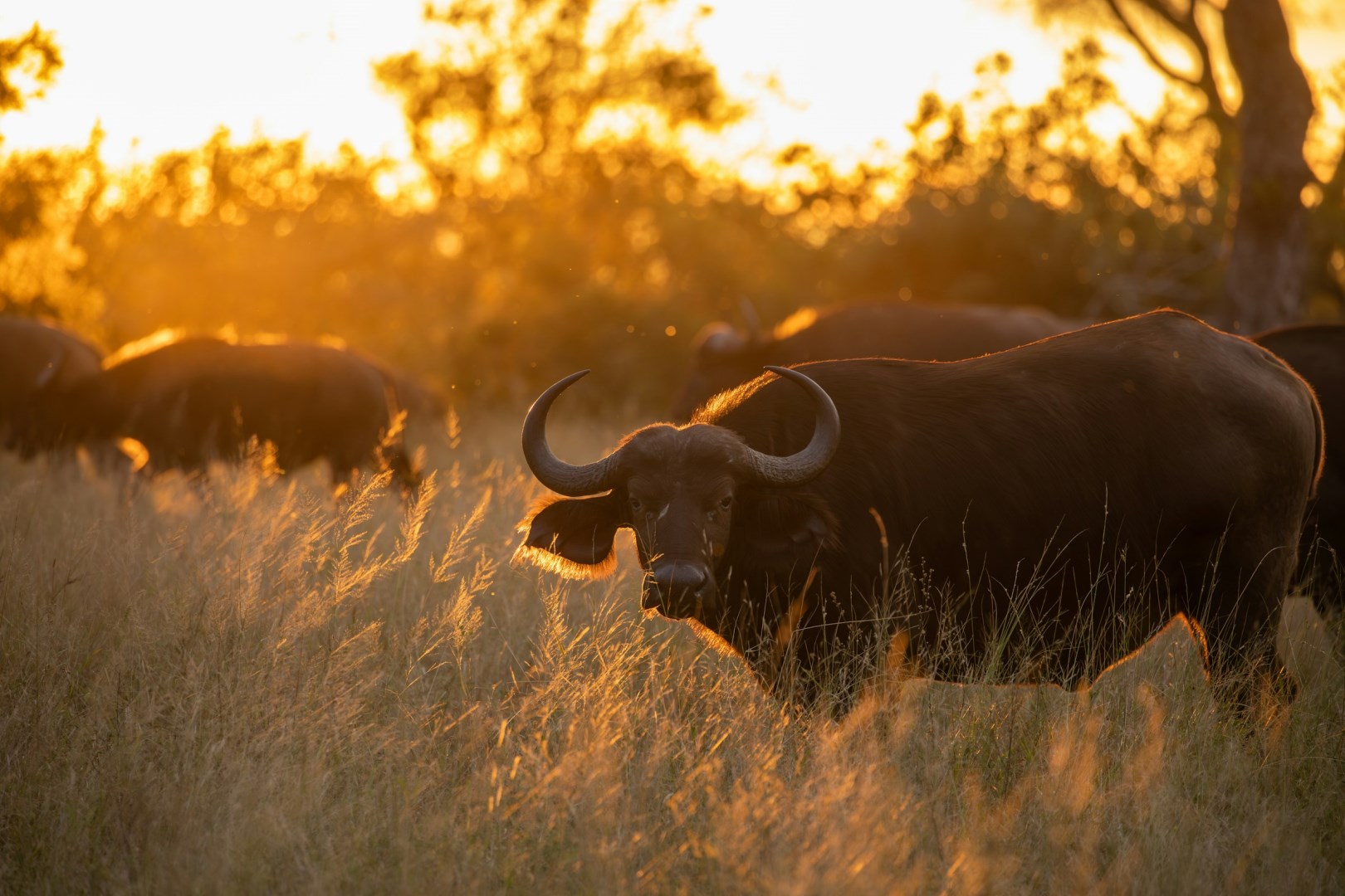  Photo Credit: Photo by Marlin Clark on Unsplash