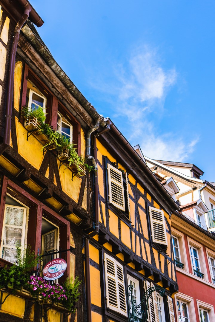  Photo Credit: Photo by Artiom Vallat on Unsplash