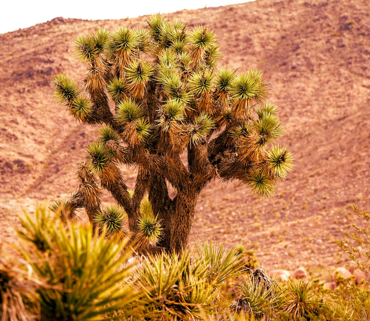 Photo Credit: Photo by Judy Doherty on Unsplash