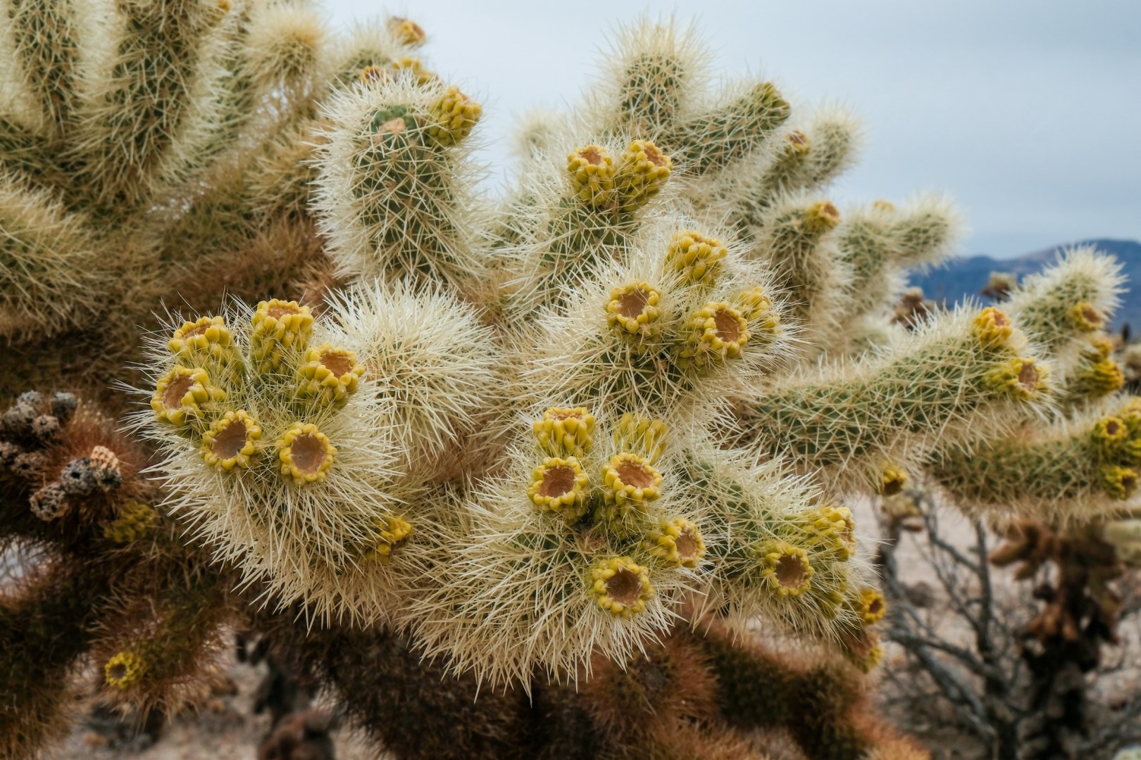  Photo Credit: Photo by Mike Pierson on Unsplash