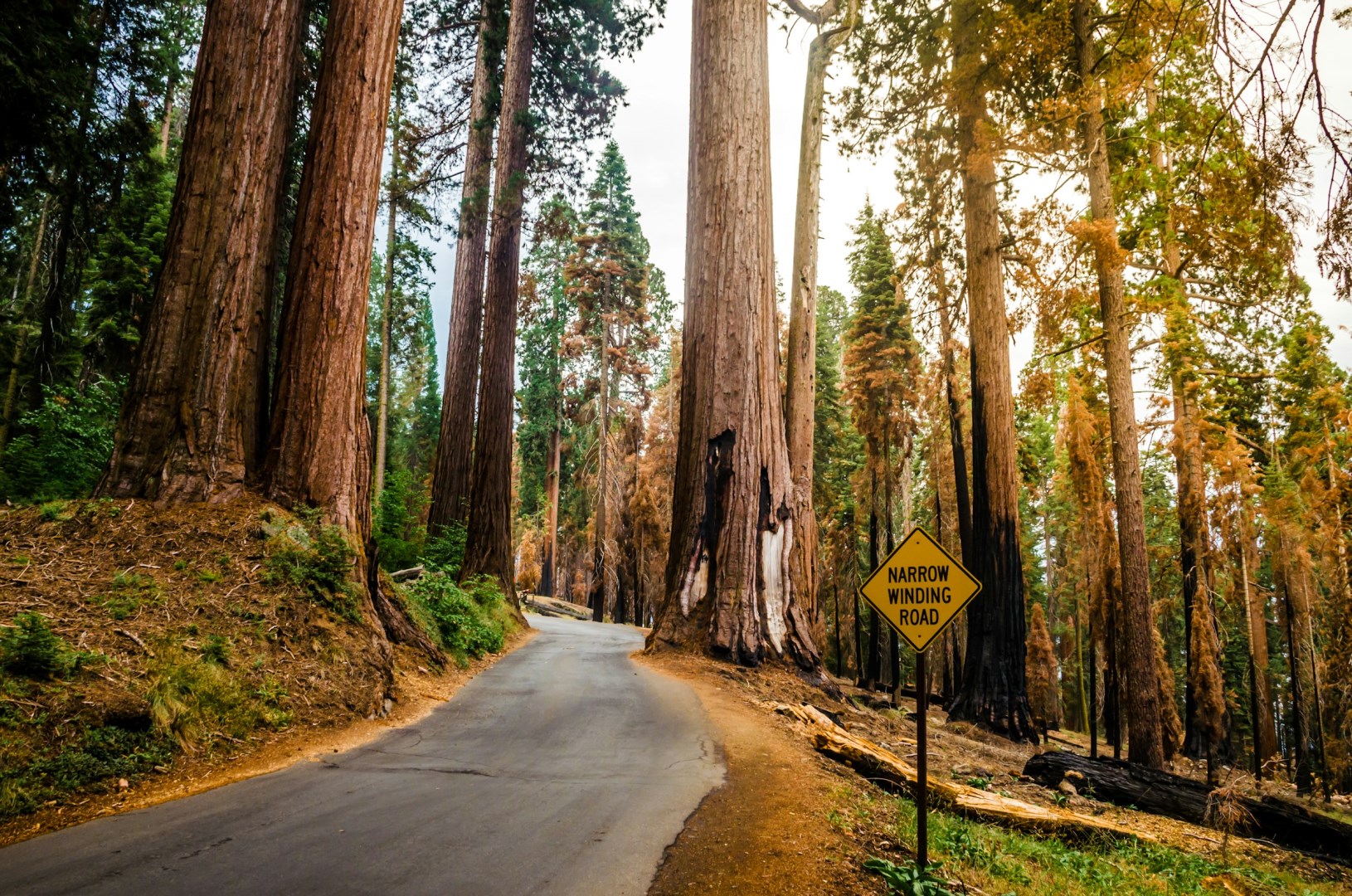  Photo Credit: Photo by Venki Allu on Unsplash