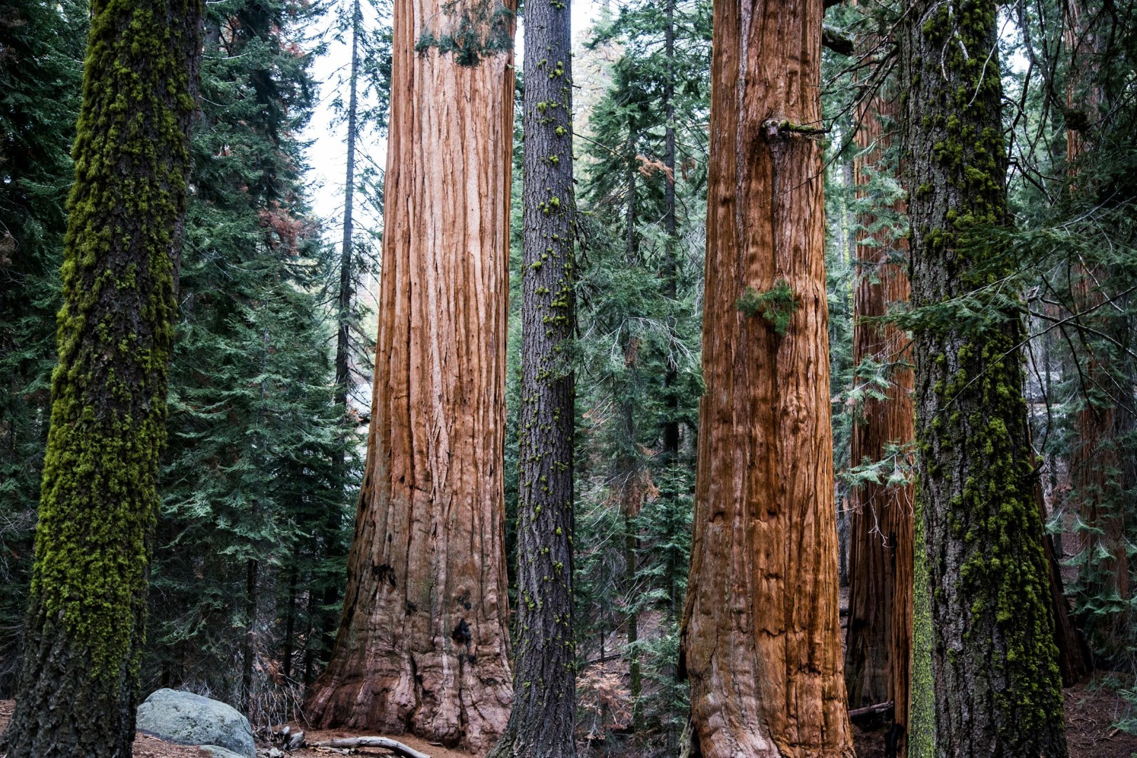  Photo Credit: Photo by Josh Carter on Unsplash