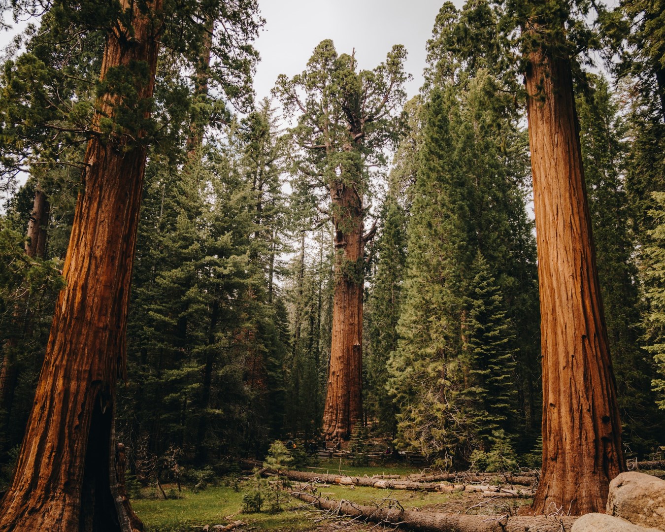  Photo Credit: Photo by Enoc Jimenez on Unsplash