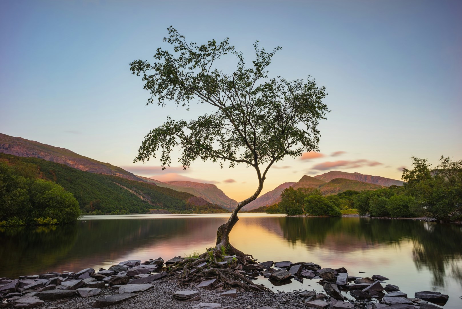  Photo Credit: Photo by Daniel Seßler on Unsplash