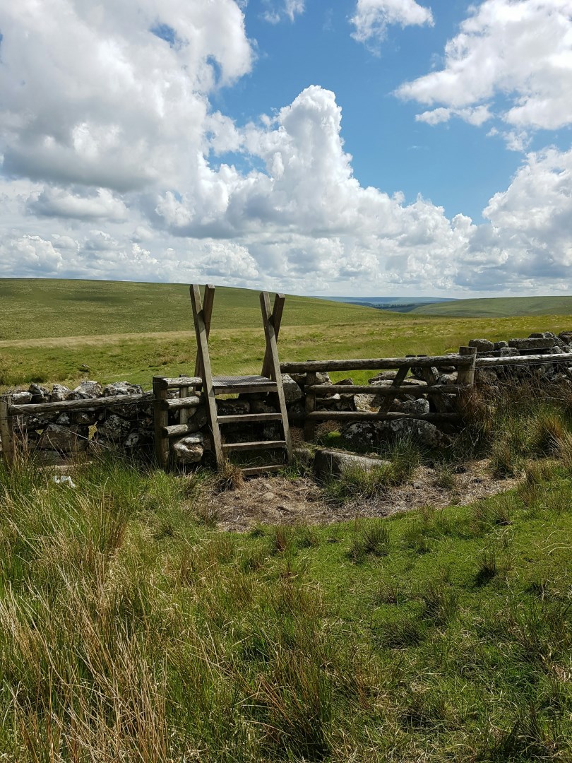  Photo Credit: Photo by Giles Trendle on Unsplash