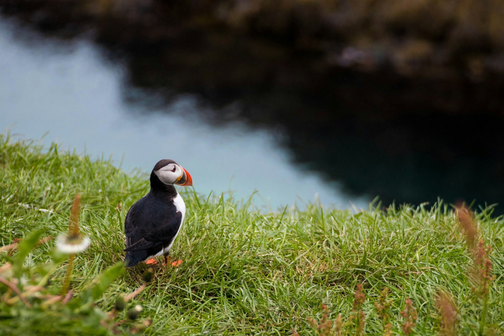  Photo Credit: Photo by Bianca Fazacas on Unsplash