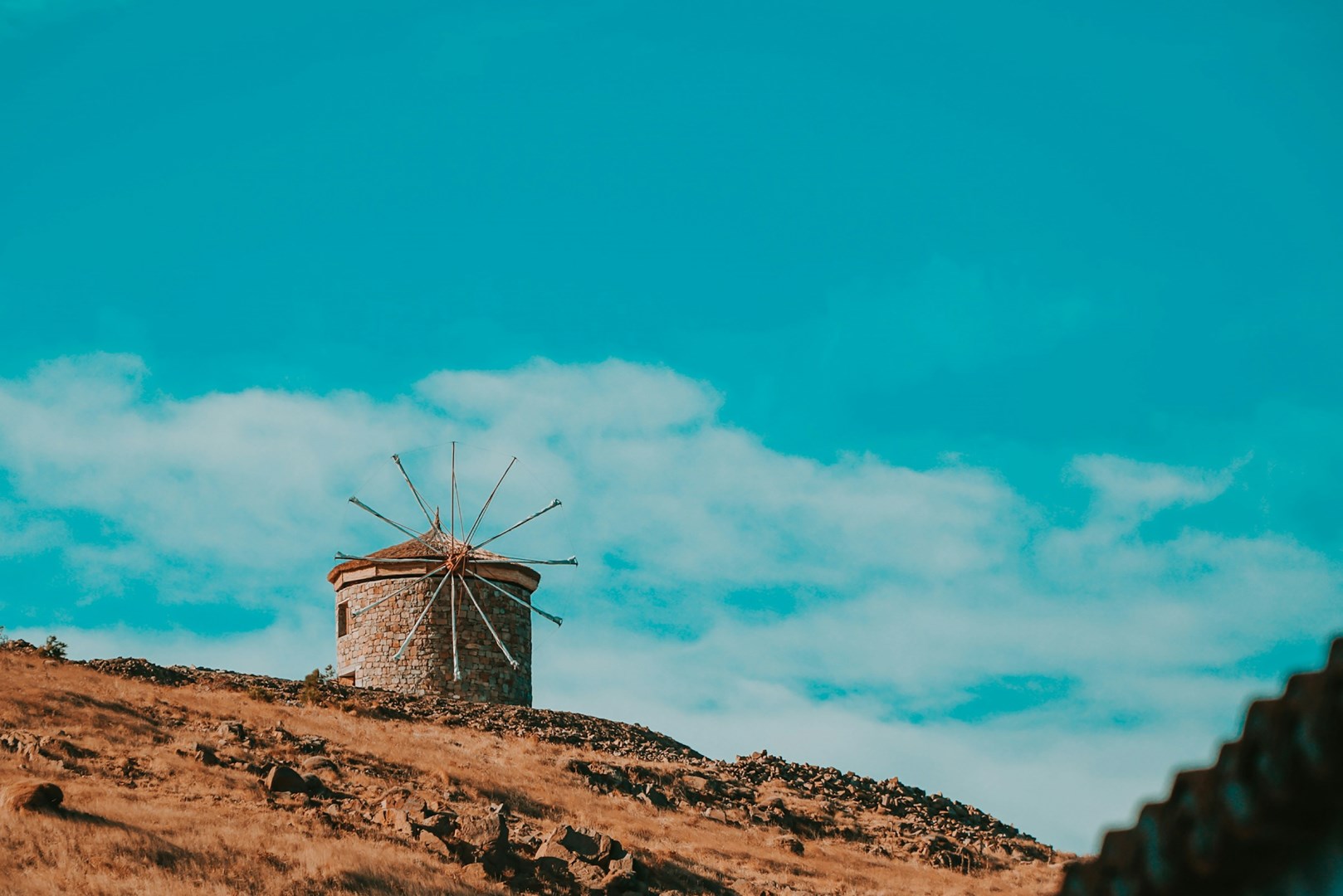  Photo Credit: Photo by Mert Kahveci on Unsplash