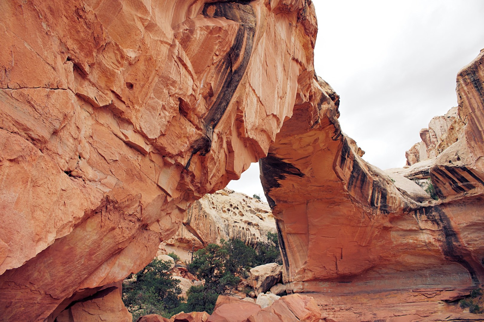  Photo Credit: Photo by James Lee on Unsplash