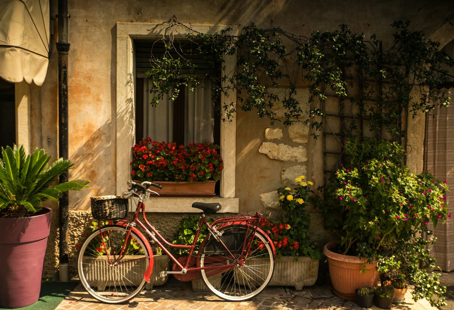  Photo Credit: Photo by Jilbert Ebrahimi on Unsplash