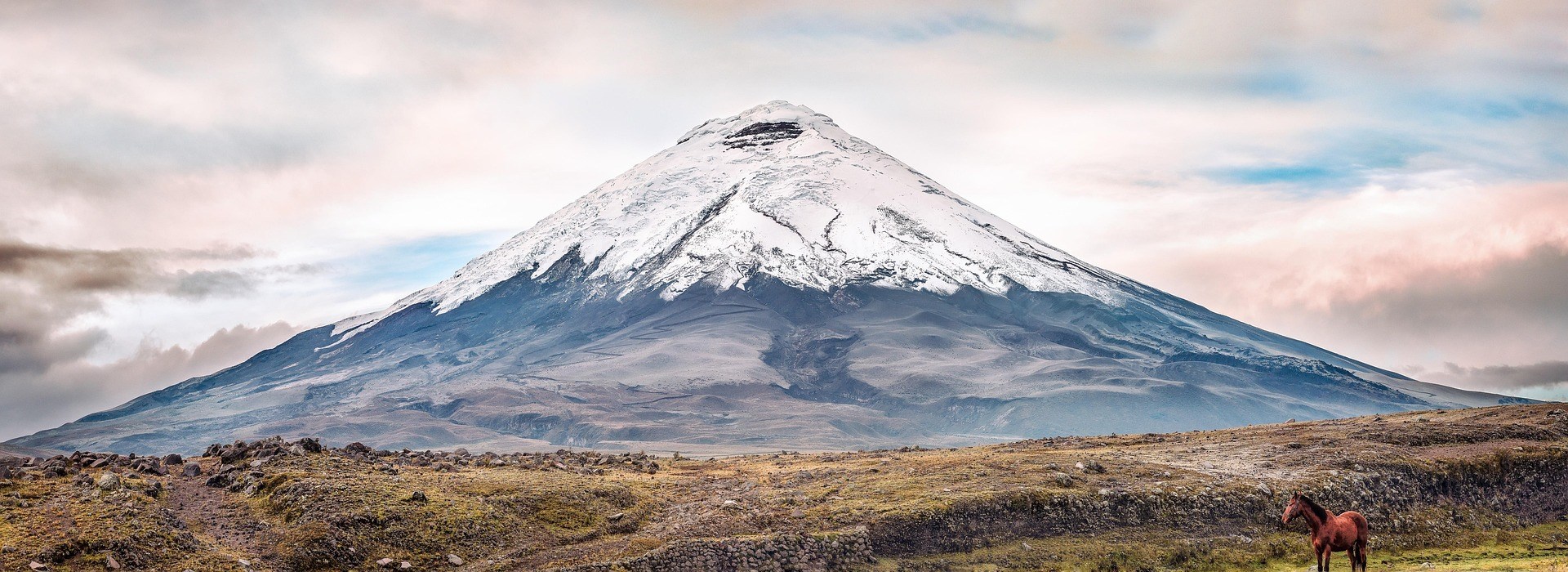 Cotopaxi National Park