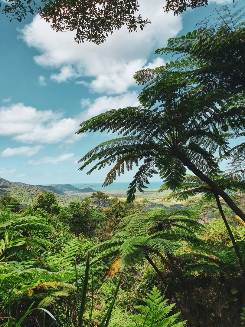  Photo Credit: Photo by Federico Garcia on Unsplash