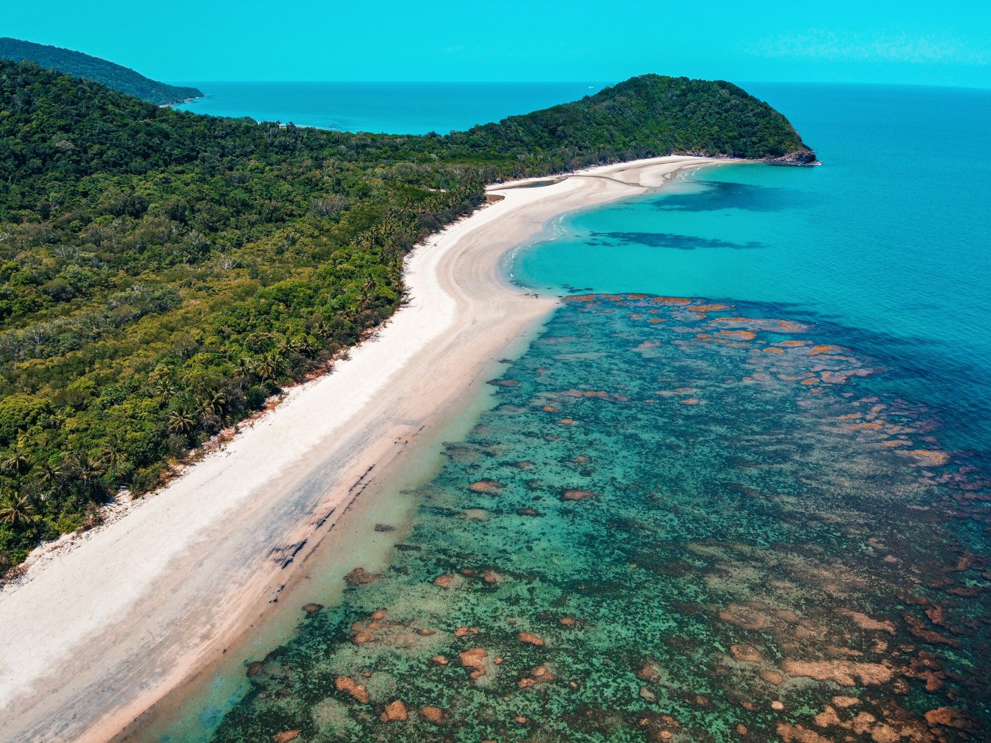 Cape Tribulation