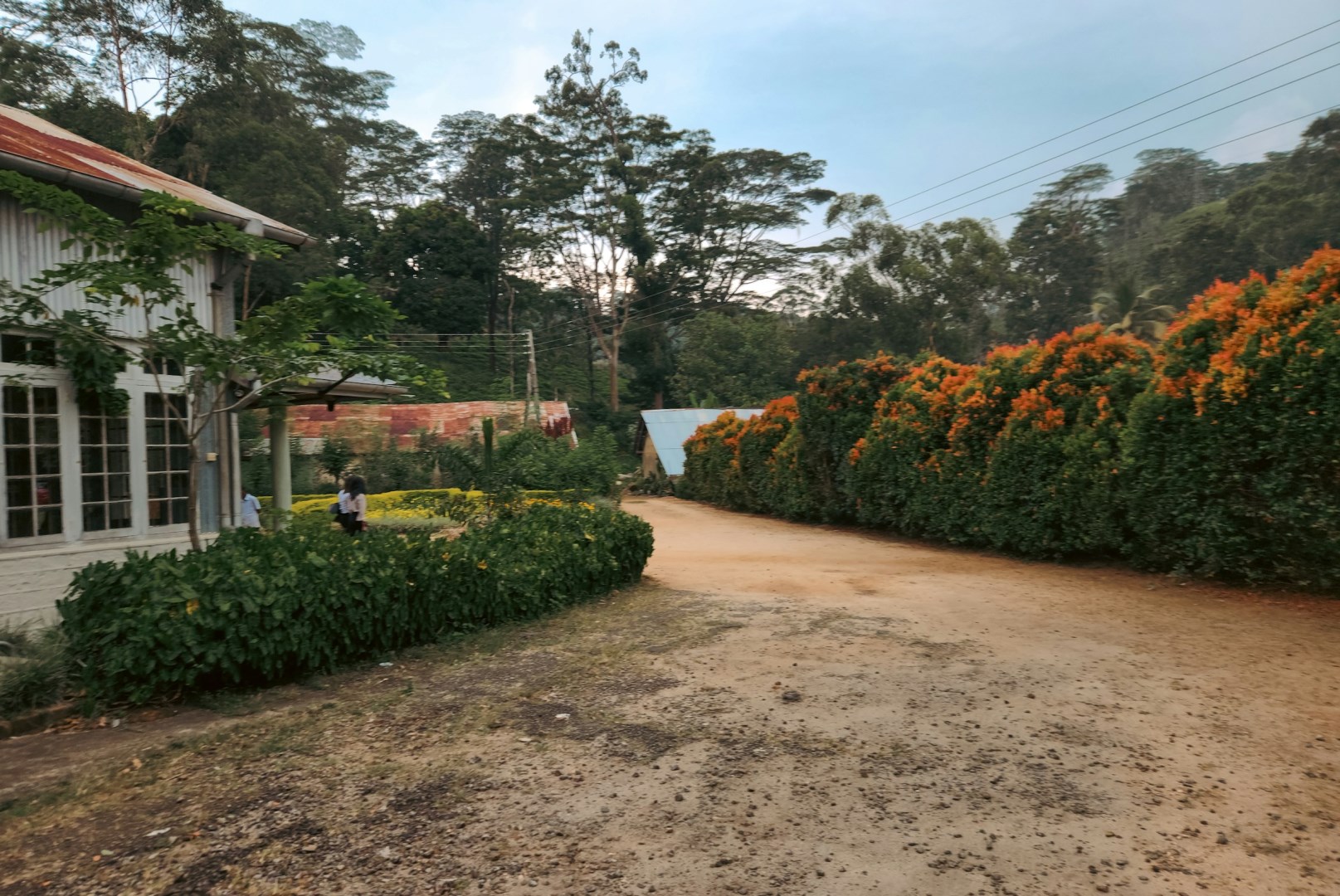 Ceylon Tea Museum - Photo Credit: Photo by Zoshua Colah on Unsplash