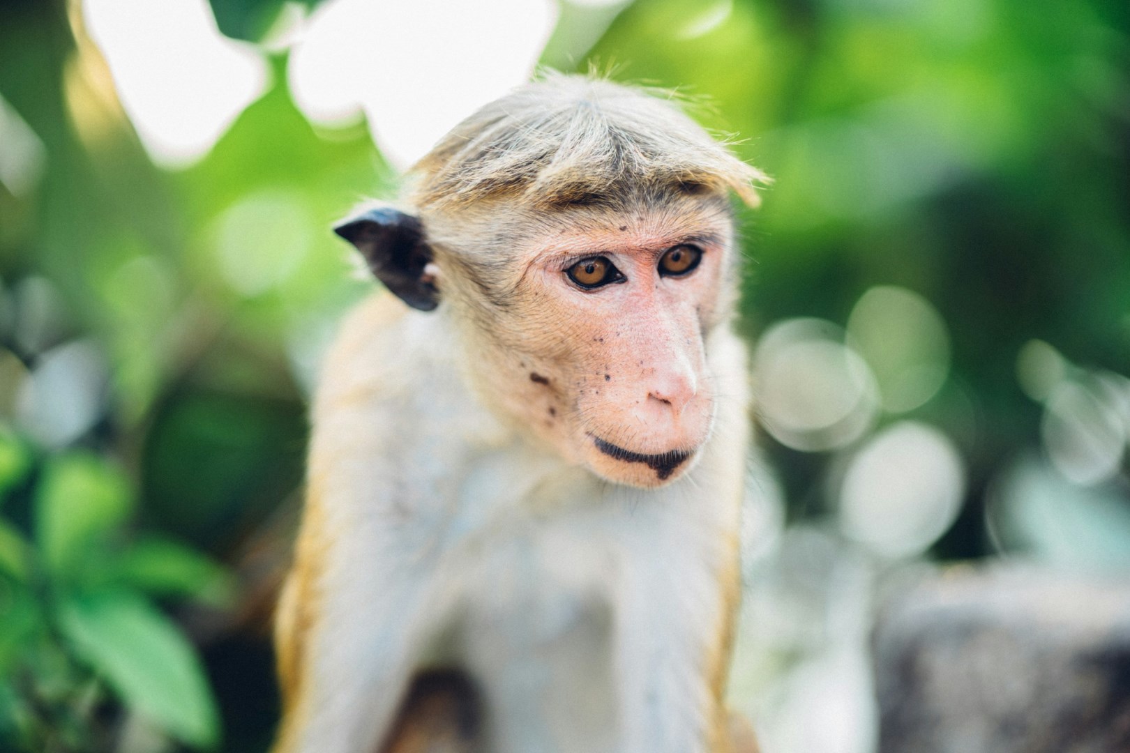  Photo Credit: Photo by Sarah Thorenz on Unsplash
