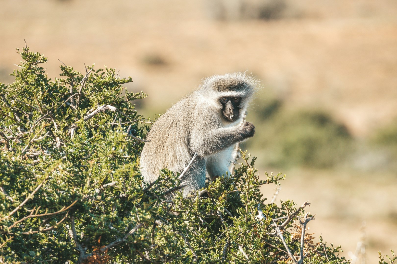 Photo Credit: Photo by Filiz Elaerts on Unsplash