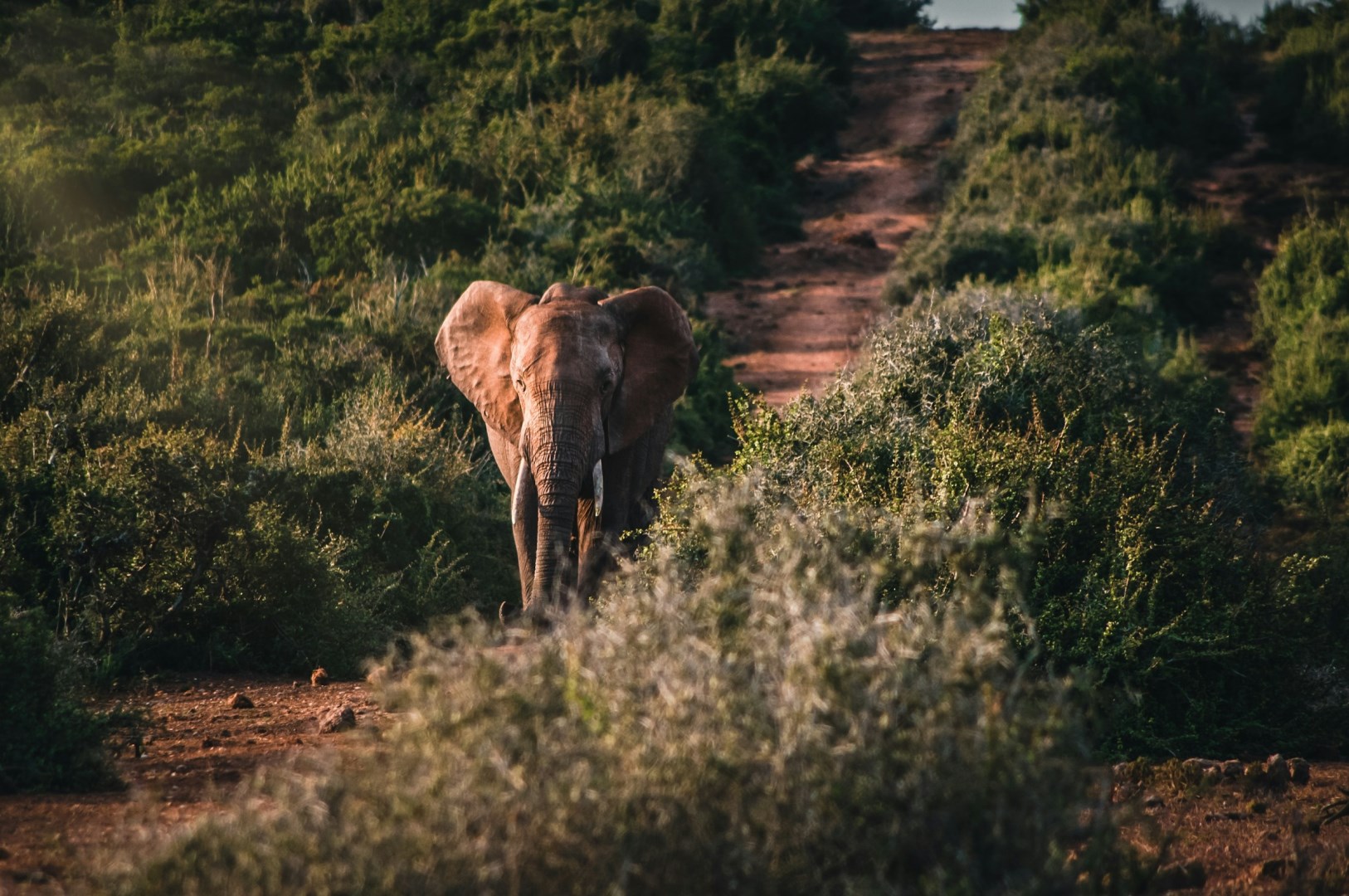  Photo Credit: Photo by Patrick Baum on Unsplash