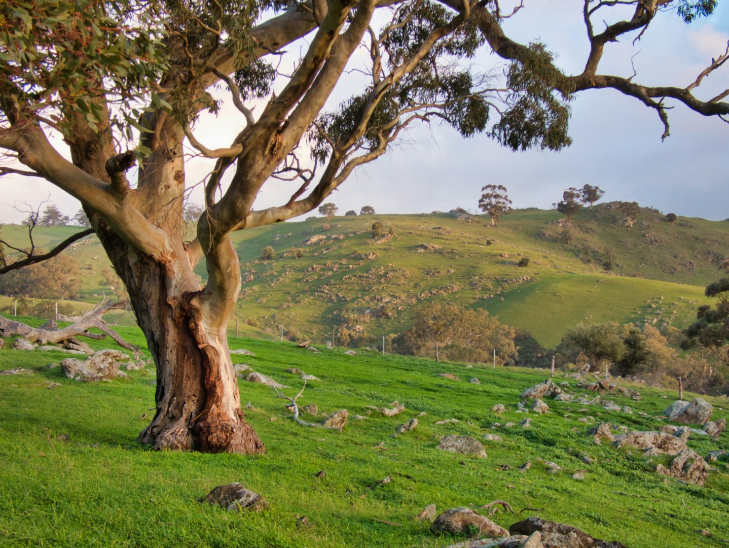  Photo Credit: Photo by mick orlick on Unsplash