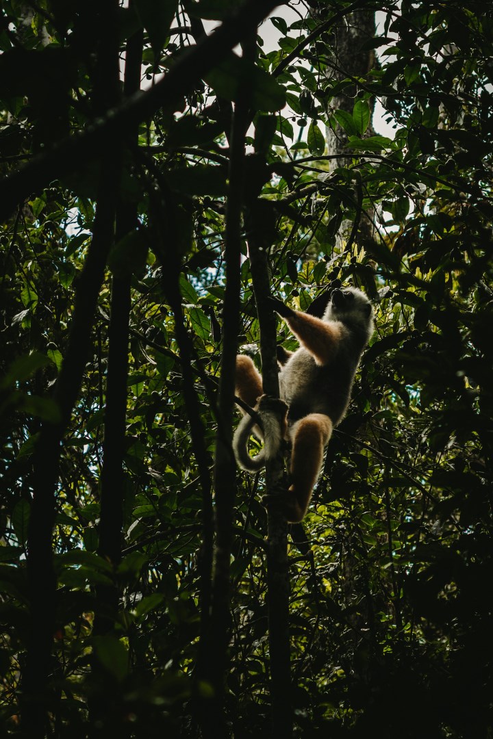  Photo Credit: Photo by Sandy Ravaloniaina on Unsplash