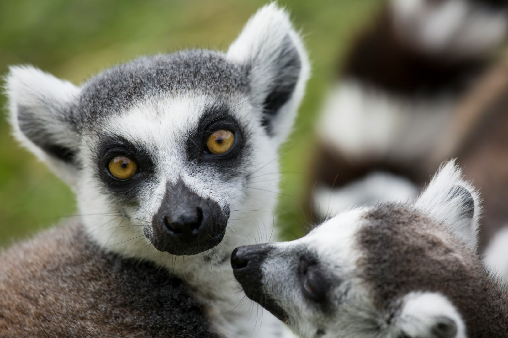 Masoala National Park