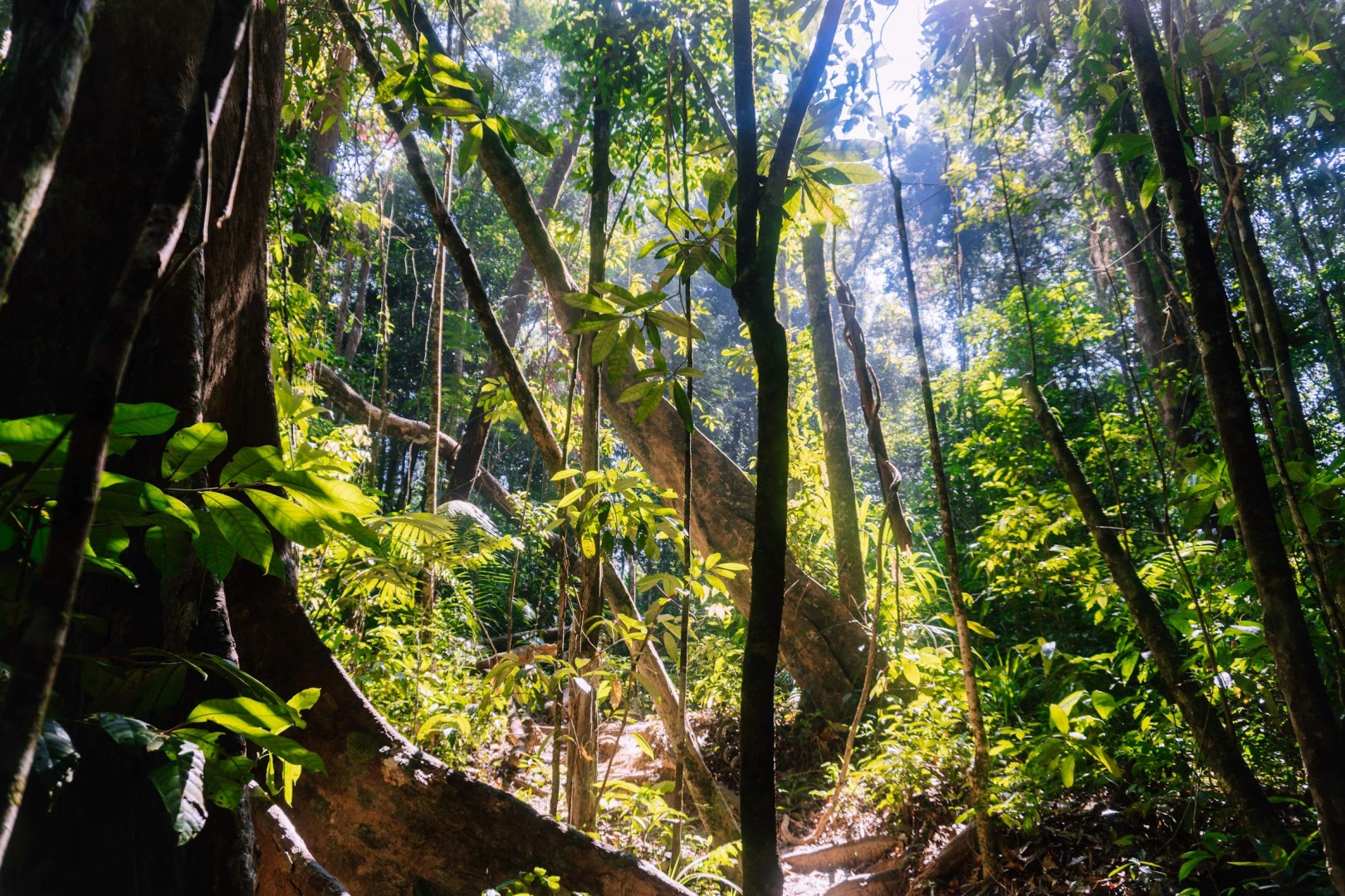  Photo Credit: Photo by Nick van den Berg on Unsplash
