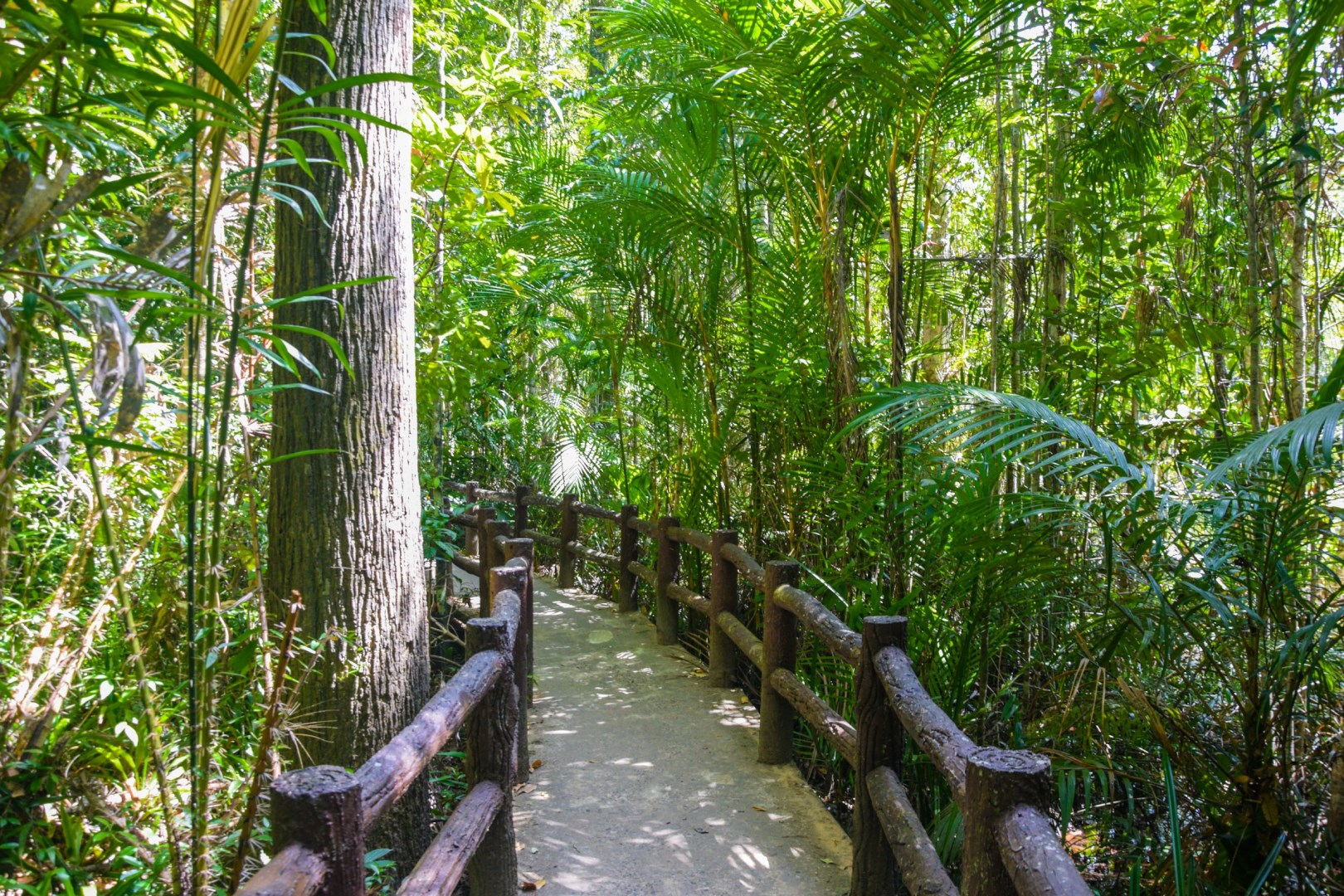 Photo Credit: Photo by Ivan Nedelchev on Unsplash