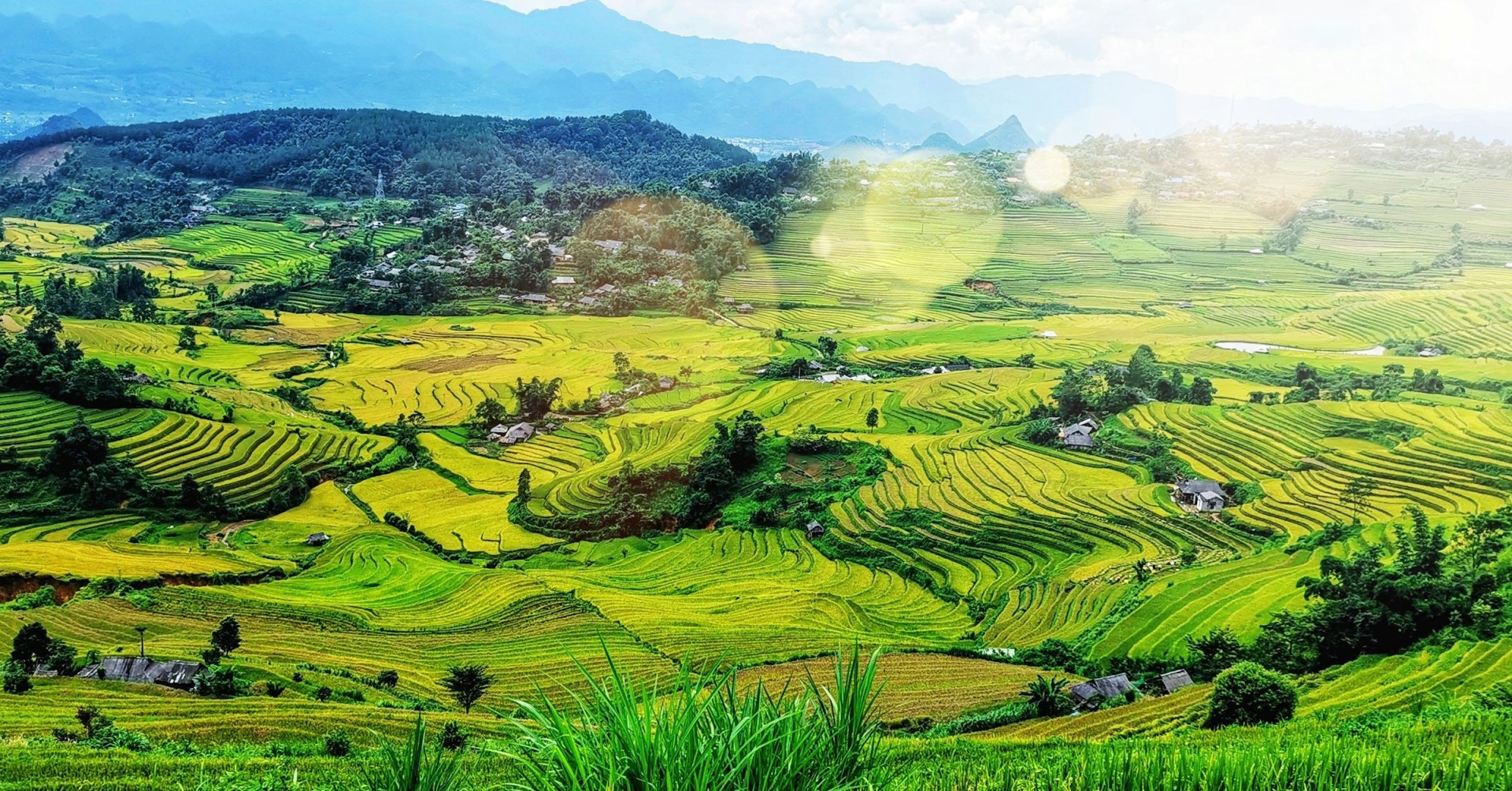  Photo Credit: Photo by Hà Link on Unsplash