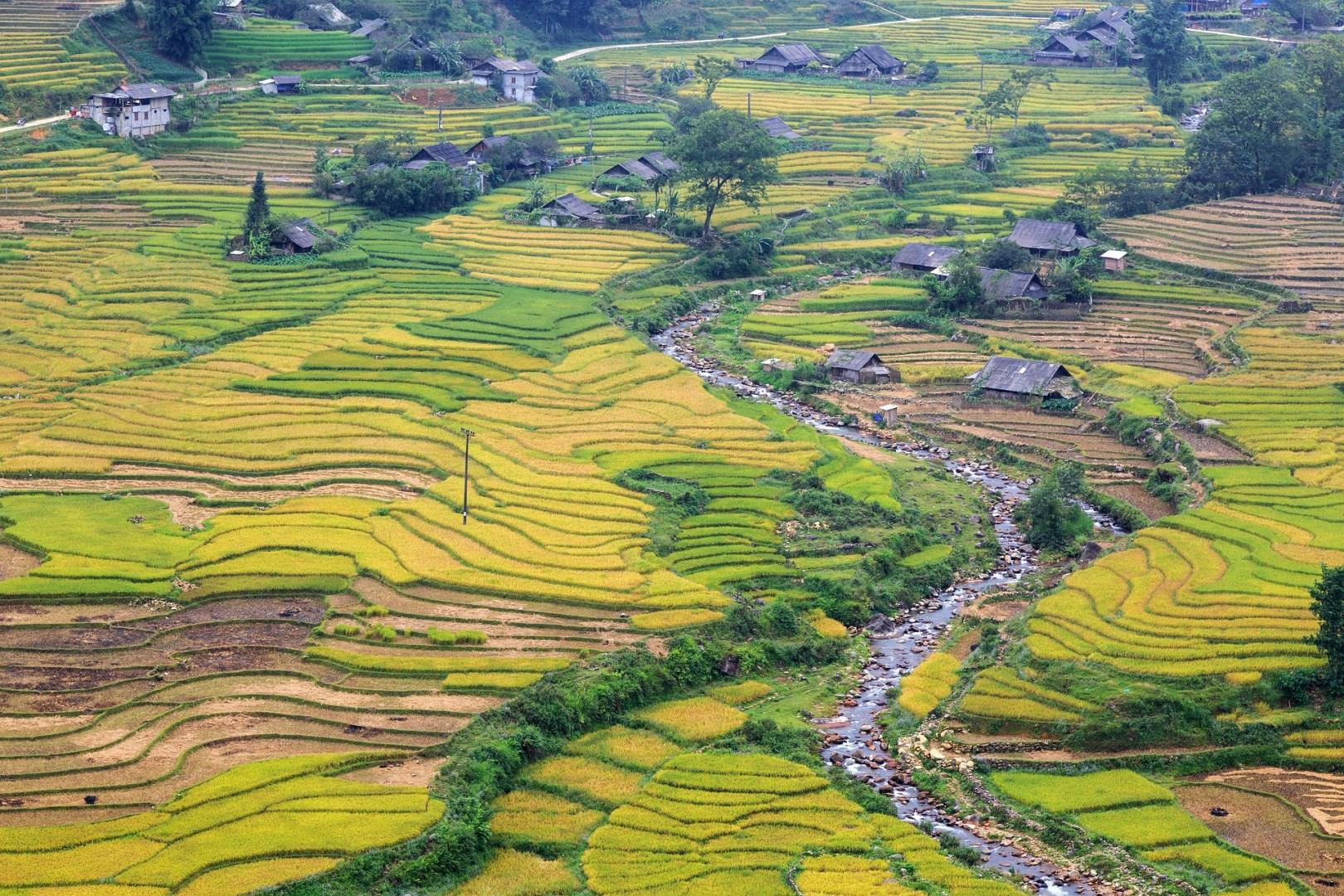 Photo Credit: phongnguyenhuy