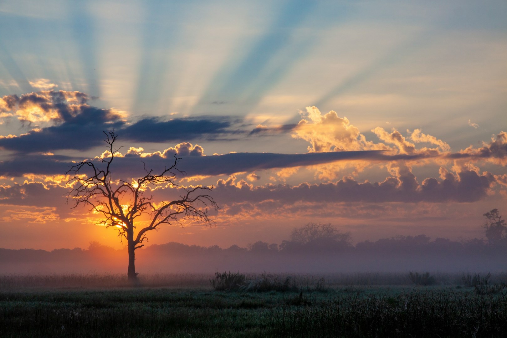  Photo Credit: Photo by Duncan McNab on Unsplash