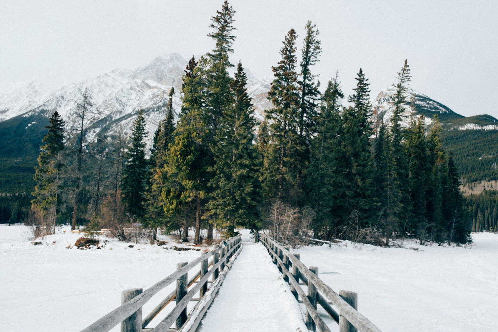  Photo Credit: Photo by Laura Brain on Unsplash