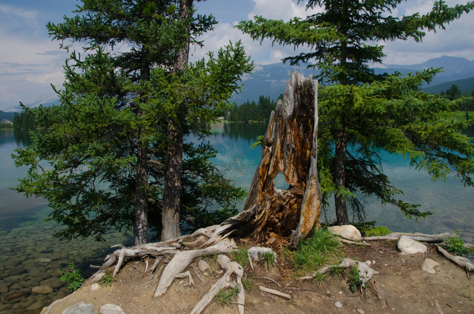  Photo Credit: Photo by Glenn Veen on Unsplash