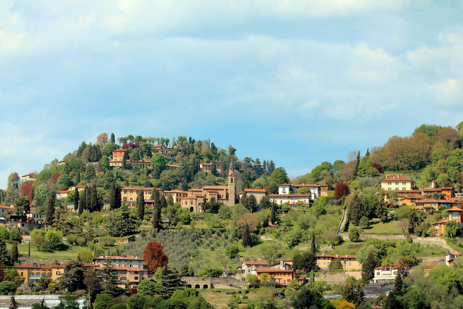  Photo Credit: Photo by Mattia Bericchia on Unsplash