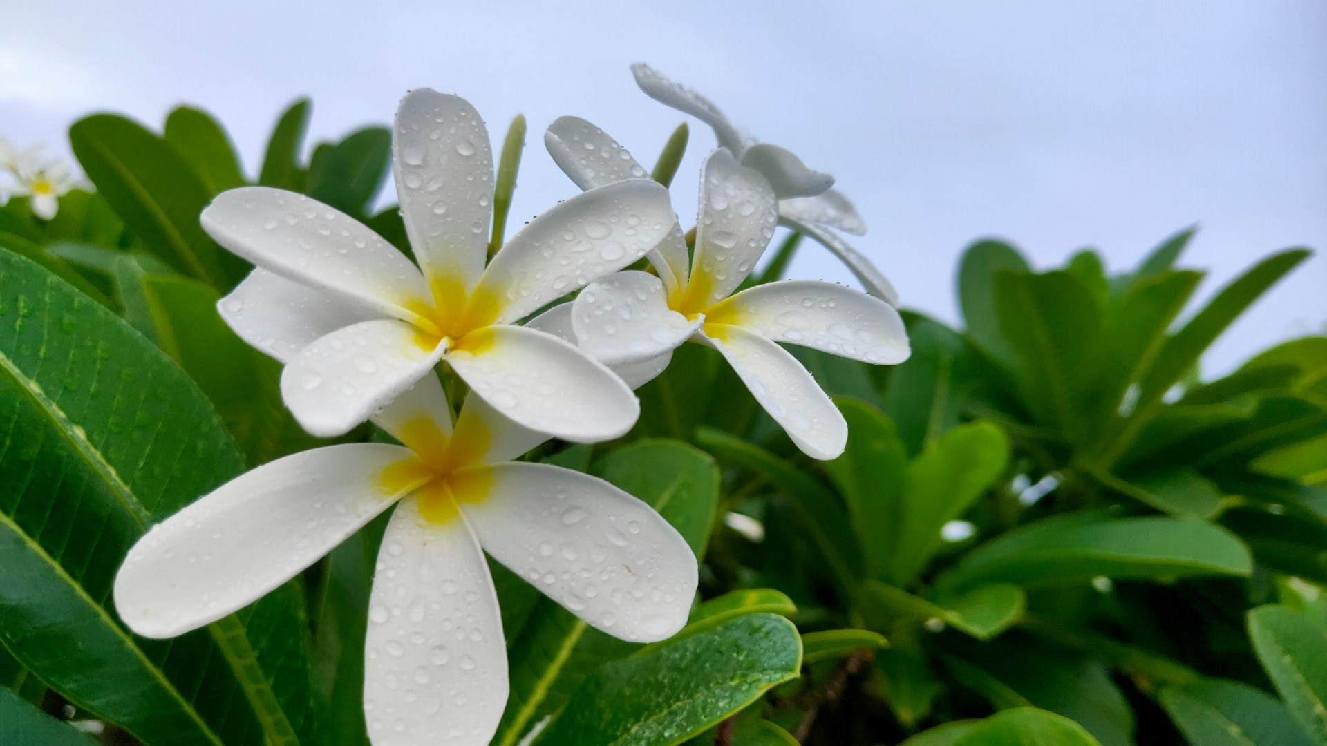 Photo Credit: Photo by NITESH KUMAR on Unsplash