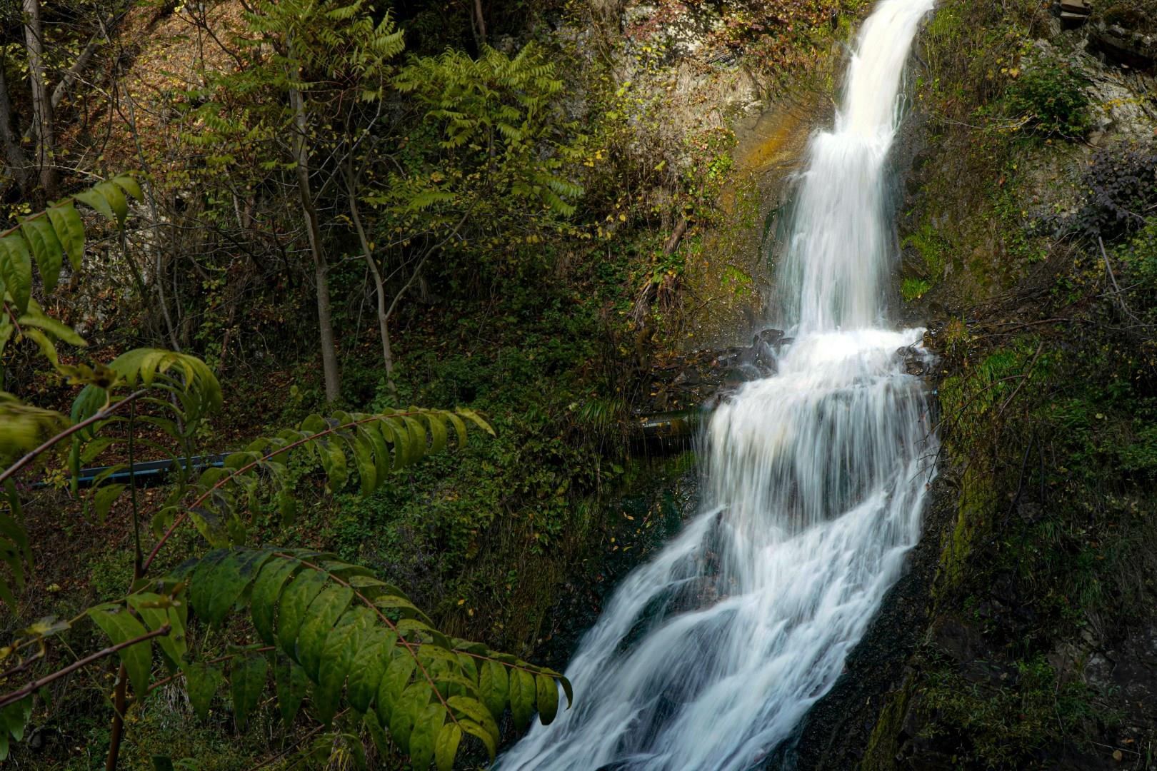  Photo Credit: Darya Luganskaya