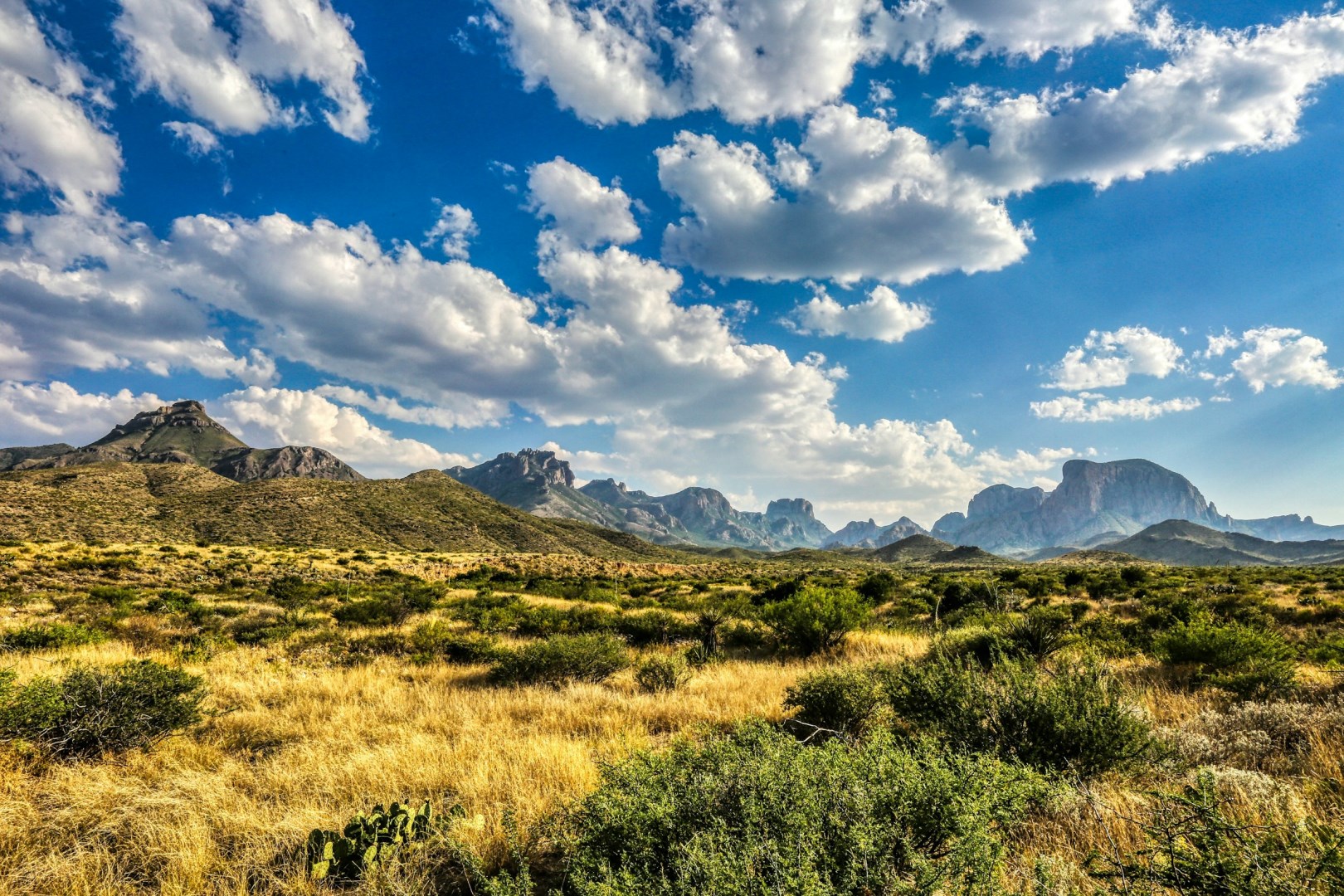  Photo Credit: Photo by Mick Haupt on Unsplash