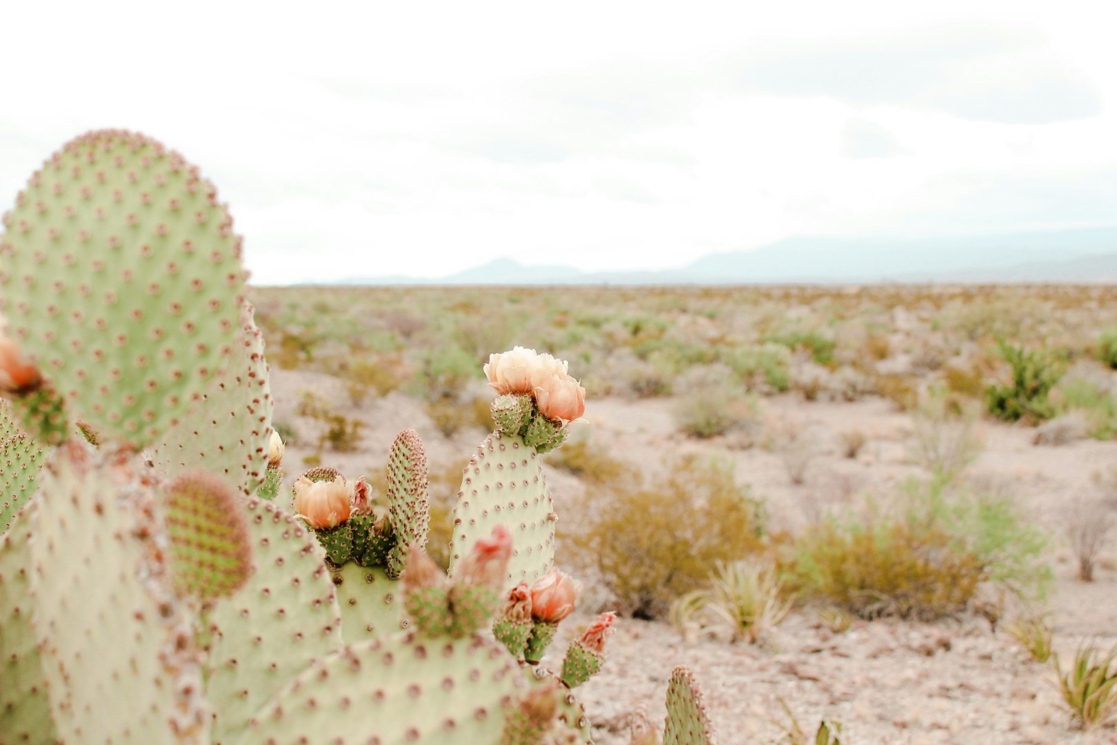  Photo Credit: Photo by Katie Polansky on Unsplash