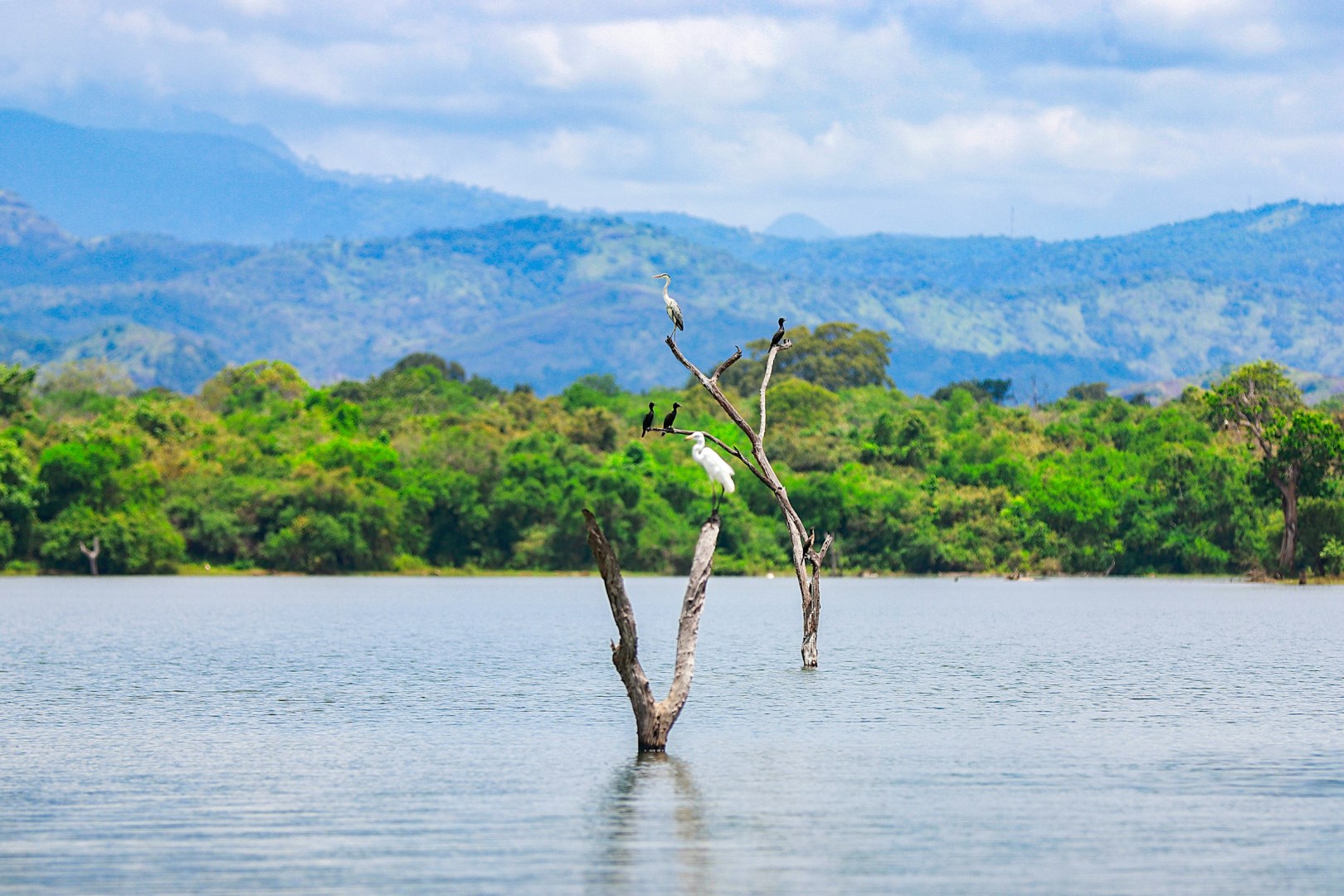  Photo Credit: Photo by Shamika Nayanajith on Unsplash