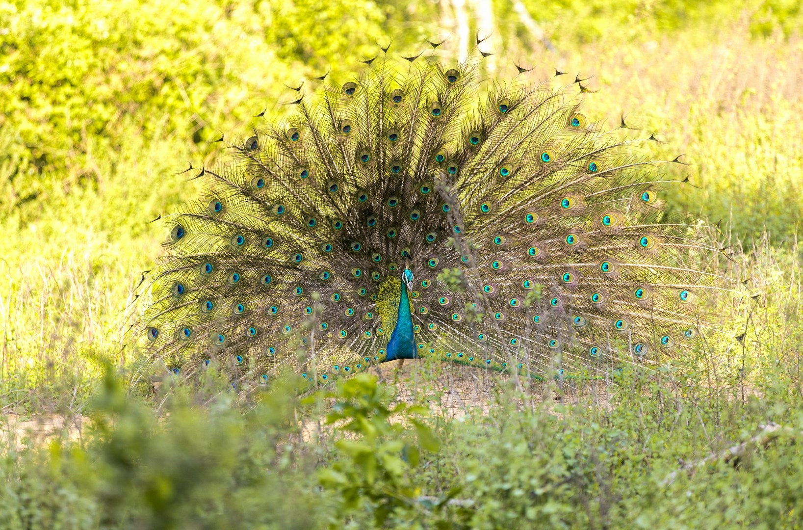  Photo Credit: Photo by Egle Sidaraviciute on Unsplash