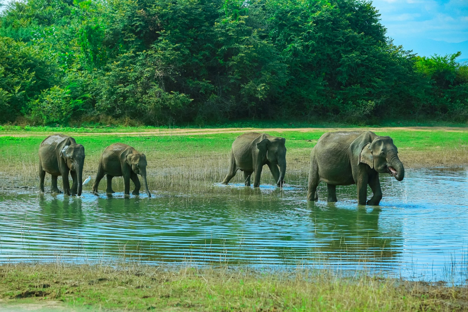  Photo Credit: Photo by Shyaman Prasad on Unsplash