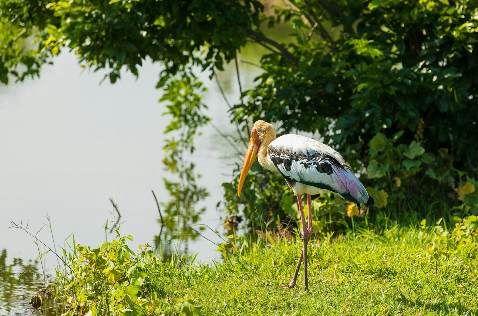  Photo Credit: Photo by Egle Sidaraviciute on Unsplash