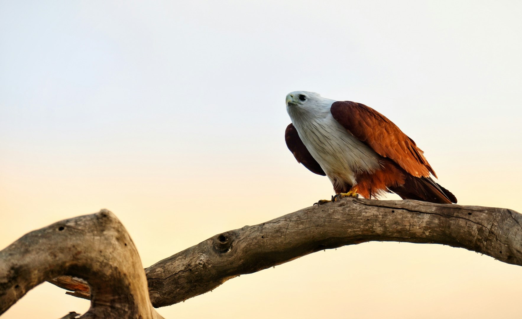  Photo Credit: Photo by Dulana Kodithuwakku on Unsplash