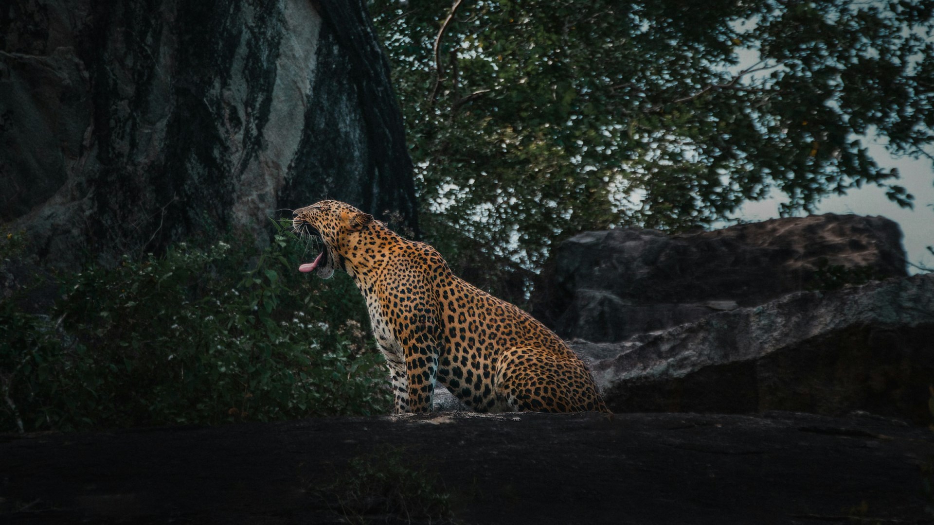  Photo Credit: Photo by Tommaso Delton on Unsplash