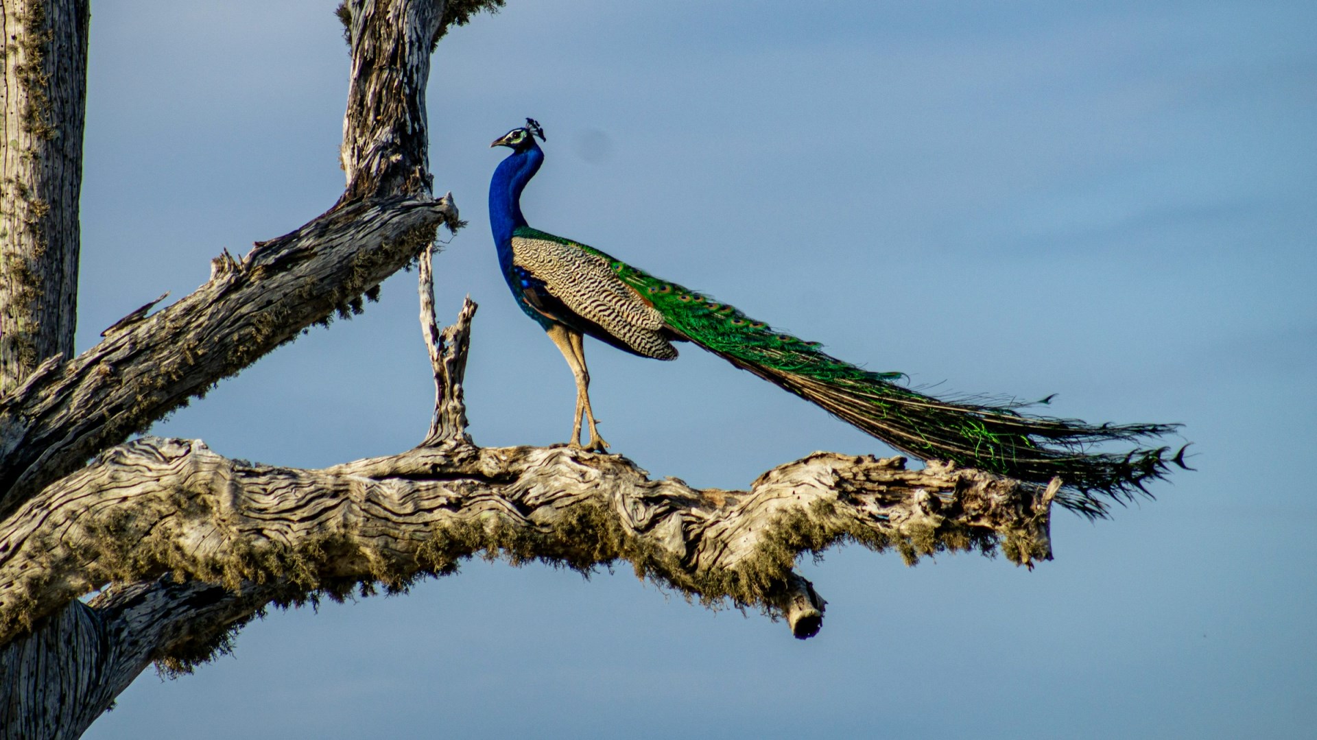  Photo Credit: Photo by Anatoly Maltsev on Unsplash