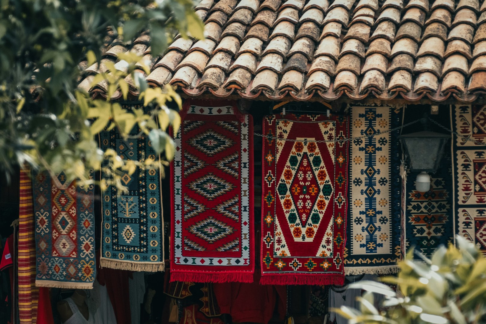  Photo Credit: Photo by Shana Van Roosbroek on Unsplash