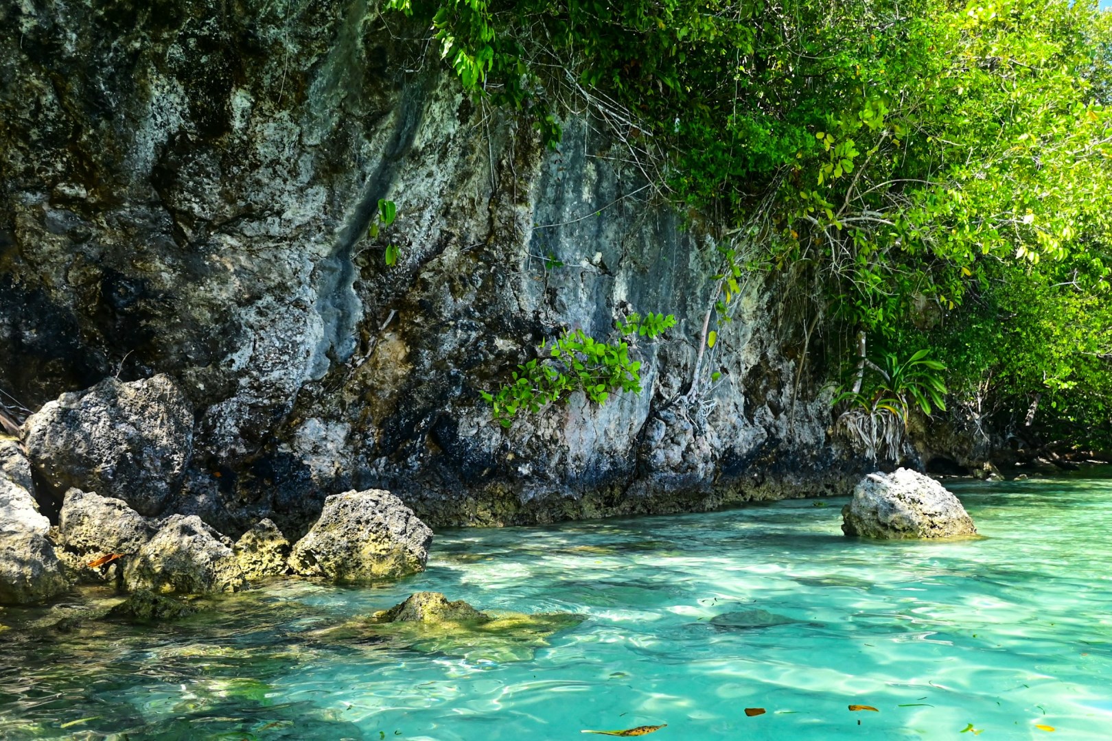  Photo Credit: Photo by SnapSaga on Unsplash