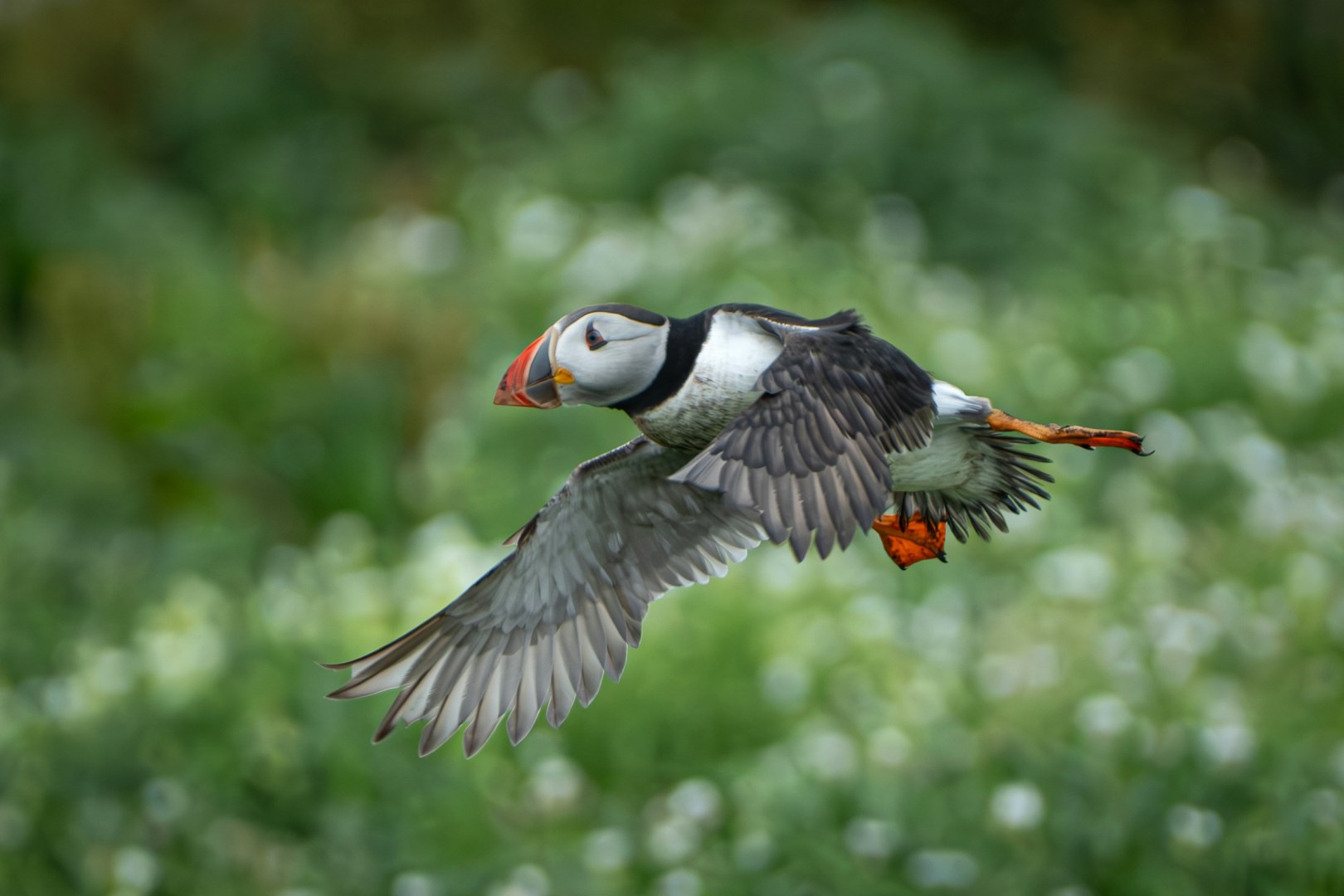  Photo Credit: Photo by Phil Robson on Unsplash