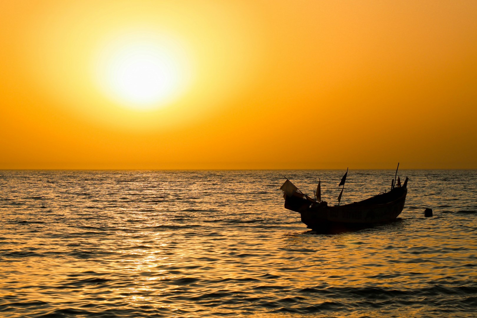 Saly