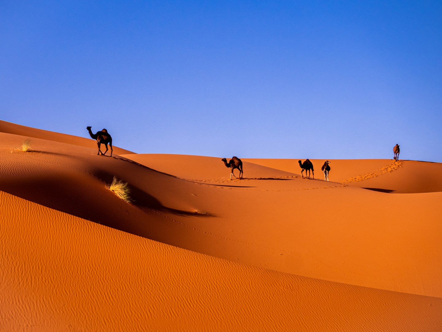  Photo Credit: Photo by Carlos Leret on Unsplash